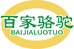 丝路牧人百家骆驼鲜驼奶