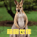箱包世佳