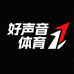 好声音运动