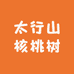 太行山核桃树