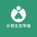小蒋生态甲鱼