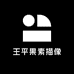 王平果素描像