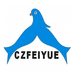 CZFEIYUE潮州市飞越鞋业有限公司女鞋专卖店