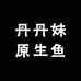 丹丹妹原生鱼