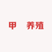 甲燊养殖