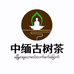 中缅边境源头收茶