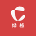 广州美丽绿植