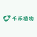 千禾植物