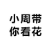 小周带你看花