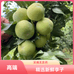 云南小珍水果店
