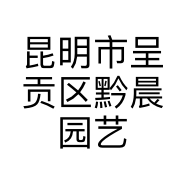 肉嘟嘟多肉花卉