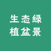 生态绿植盆景