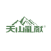 天山礼献新疆特产