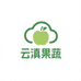 云滇果蔬贸易