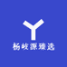 杨岐源臻选