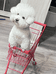 luka宠物用品店
