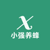 小强养蜂