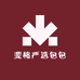 斐格严选包包