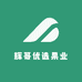 辉哥优选果业