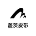 盖茨皮带