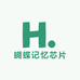蝴蝶记忆芯片