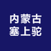 内蒙古塞上驼绒毛制品加工厂