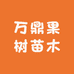 举乐霖轩果树苗木专卖店