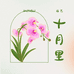 十月里园艺2