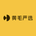 黄毛严选