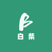 白柴高端设计