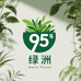95号绿洲
