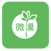 云南微漠育苗基地