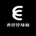 香饽饽绿植