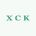 XCK定制女鞋