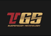 TGS减震器
