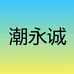 参谋仕汽车用品专营店