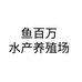 鱼百万养鱼个体店