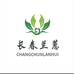 长春兰蕙国兰店