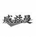 威兹曼毛线