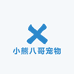 小熊八哥宠物