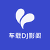 车载影阁