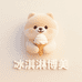 冰淇淋博美