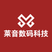 莱音数码科技