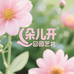 朵儿开园艺