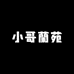 小哥蘭苑绿植店