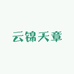 云锦天章老软缎服饰