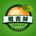 橙吉鲜果蔬旗舰店