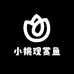 小姚观赏鱼