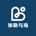 加勒与海
