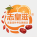 志皇滋补养生旗舰店